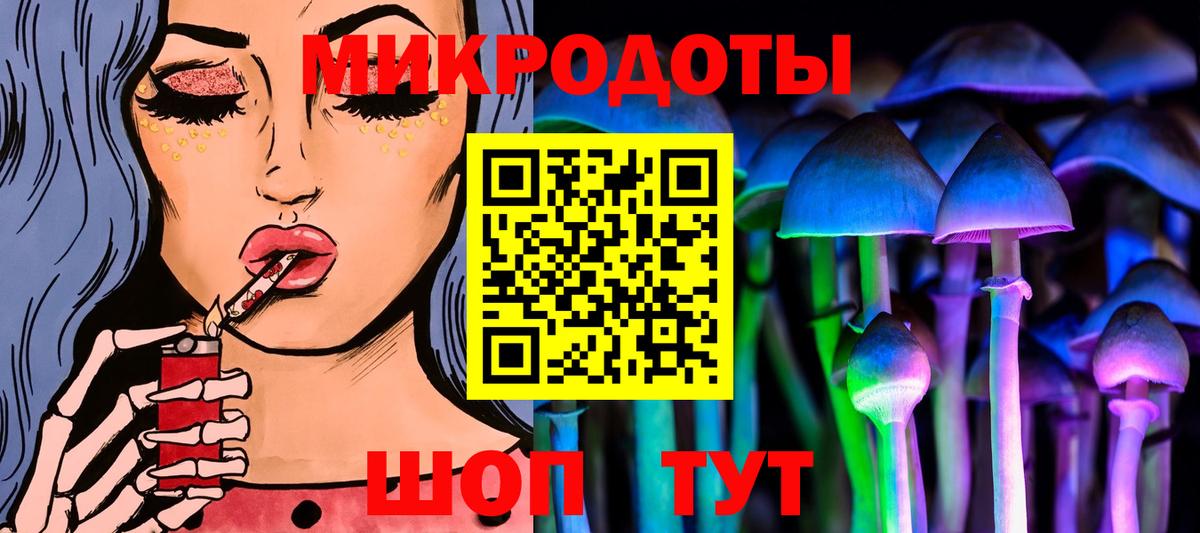 Жуковский  Псилоцибиновые грибы Psilocybe  Вход с VPN 